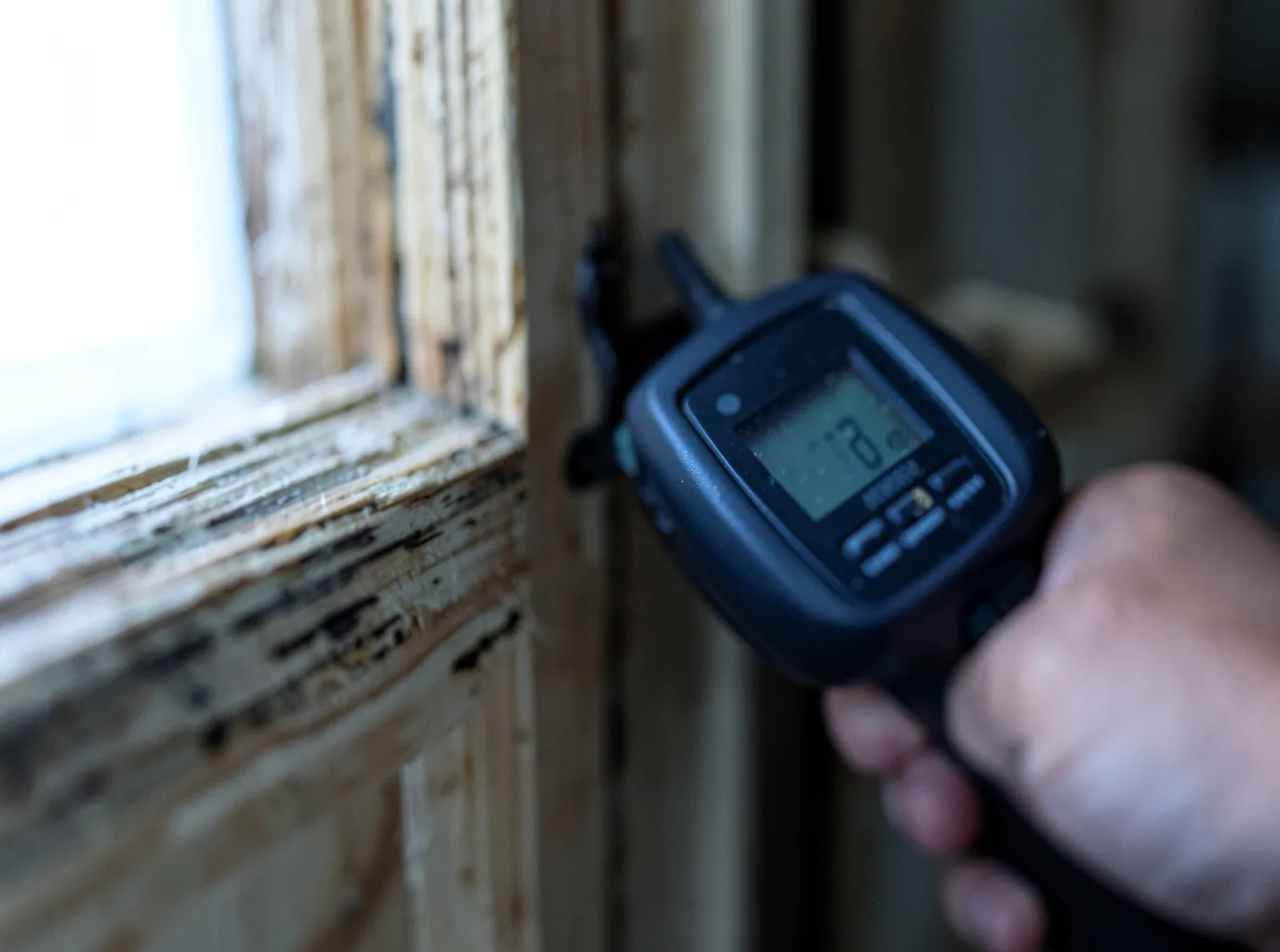 Moisture Inspection And Documentation in Stanhope, IA